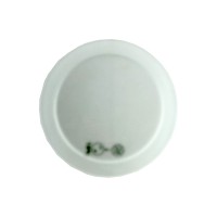 Glas für WETSY (vollsatiniert) Glas für WETSY (vollsatiniert)