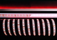 Deko-Light Flexibler LED Stripe, 5050-96-24V-RGB+6200K-3m, Kupfer, Weiß, RGB + Kaltweiß, 120°, 80W Deko-Light Flexibler LED Stripe, 5050-96-24V-RGB+6200K-3m, Kupfer, Weiß, RGB + Kaltweiß, 120°, 80W