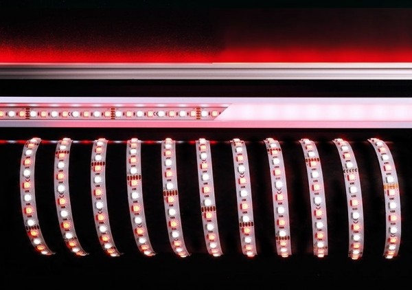 Deko-Light Flexibler LED Stripe, 5050-96-24V-RGB+6200K-5m, Kupfer, Weiß, RGB + Kaltweiß, 120°, 115W