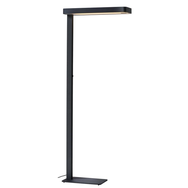 WORKLIGHT PLUS, Indoor LED Standleuchte 3000K anthrazit