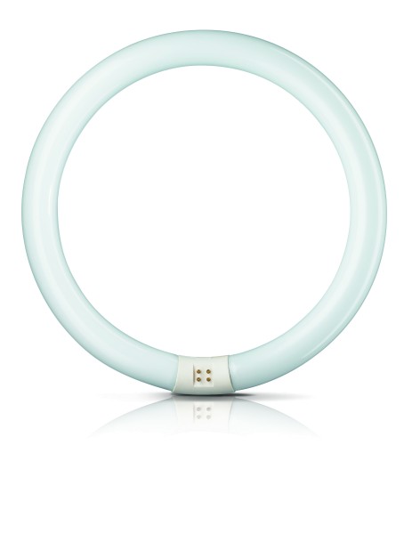 Leuchtstofflampe Ringform 22 W T9 865 G10q Philips Master