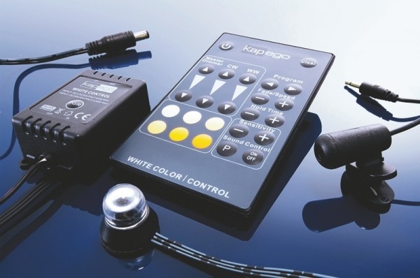 KapegoLED Controller, XS-Pro White Color Mini, spannungskonstant, 12-24V DC, 96,00 W