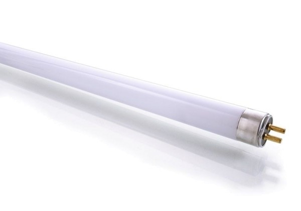 Osram Leuchtmittel, Leuchtstoffröhre Plus, Glas, Weiß, Kaltweiß, 18W, 230V, 590mm