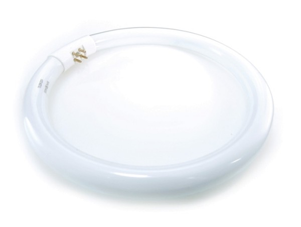 Leuchtmittel, Leuchtstofflampe, 220-240V AC/50-60Hz, G10q / T5