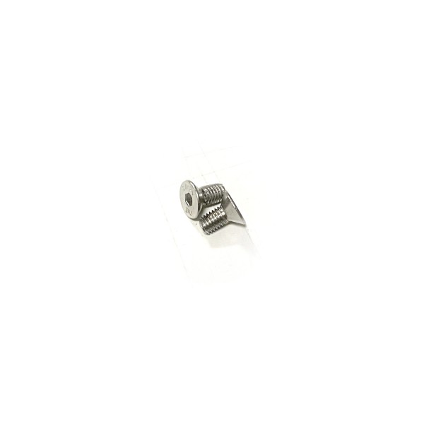 Edelstahlschrauben für Bodeneinbaustrahler (2 Stück) M5 x 10mm (für Blende)