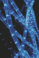 Dekorative Leuchte, Cut Light, 220-240V AC/50-60Hz, 207,00 W Dekorative Leuchte, Cut Light, 220-240V AC/50-60Hz, 207,00 W